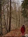 Heimattiergarten (20)